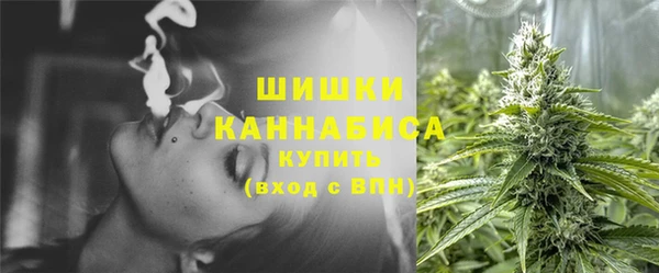 винт Бородино