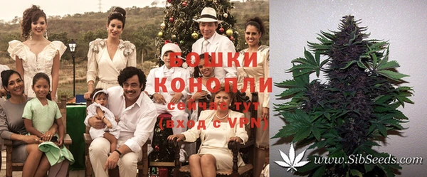 винт Бородино